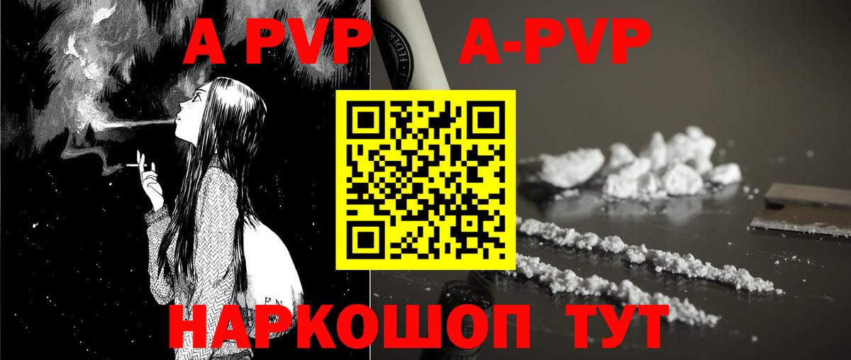 Alfa_PVP СК Йошкар-Ола