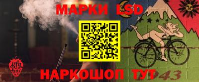 меф Гатчина