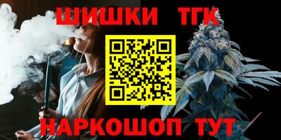 меф Гатчина