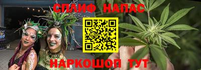 меф Гатчина